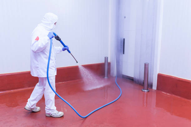 Best Patio and Deck Pressure Washing  in Orange Lake, NY